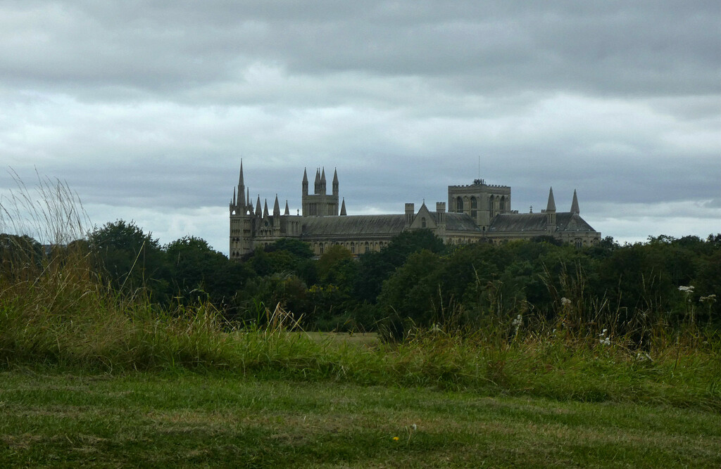 Peterborough Cathedral.  by wendyfrost