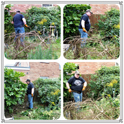 1st Sep 2021 - Autumn and time to tidy the garden !