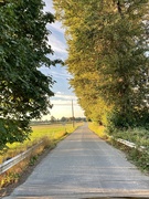 22nd Aug 2021 - Country Road
