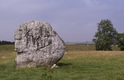 25th Aug 2021 -  Avebury stone