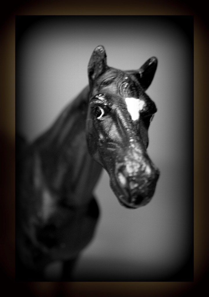 The Horse Whisperer by digitalrn