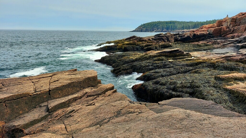 Maine  Coastline by harbie