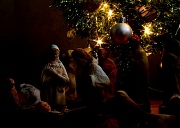 15th Jan 2011 - The Nativity Story