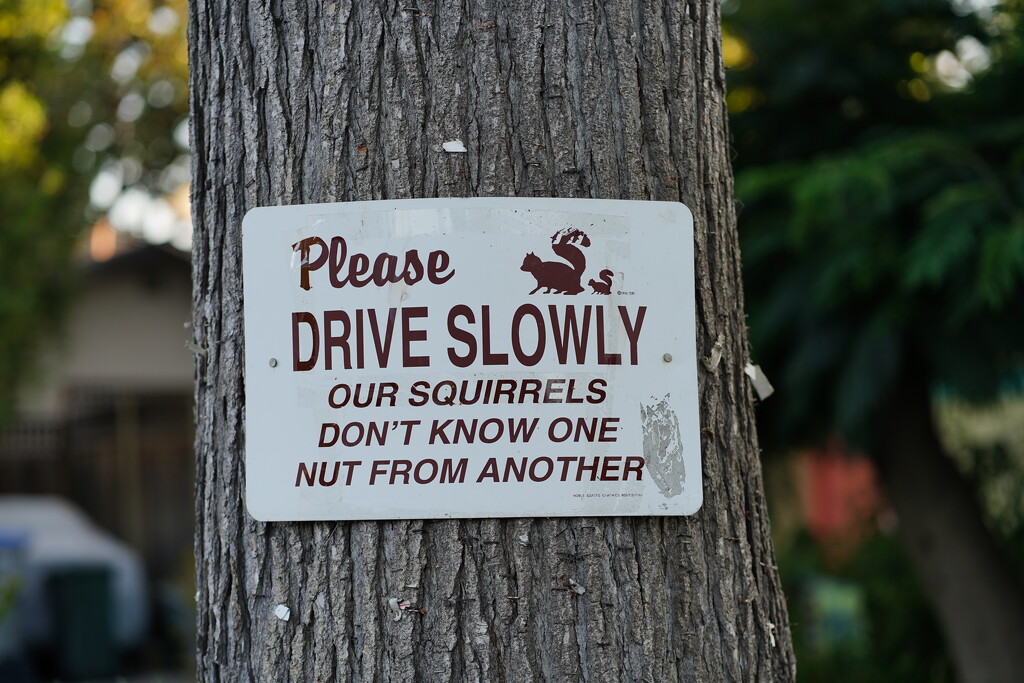 Safety sign by acolyte