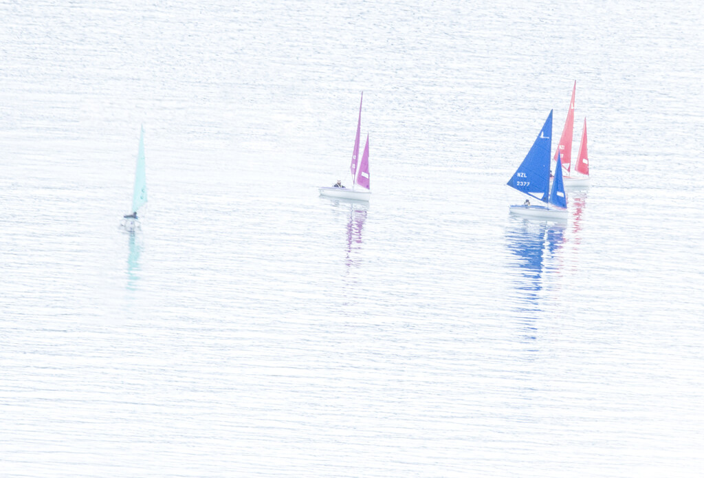 Harbour sails by dkbarnett