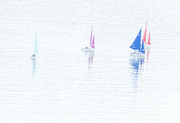 6th Jul 2021 - Harbour sails