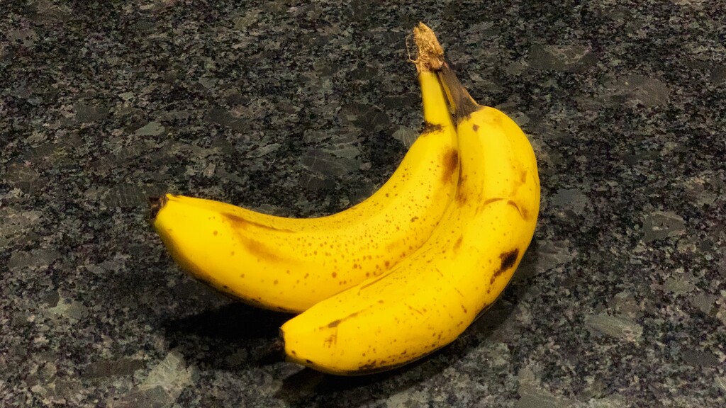 Bananas by briaan
