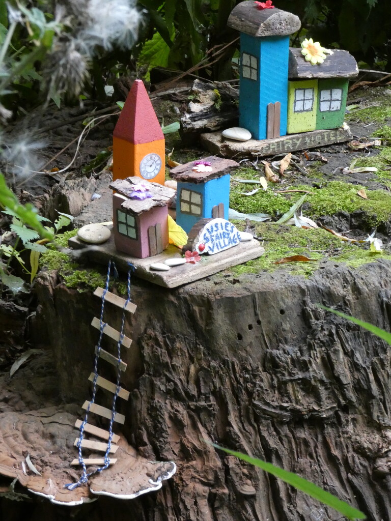 Fairy Village by fishers