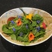  Colourful Homegrown Salad  by susiemc
