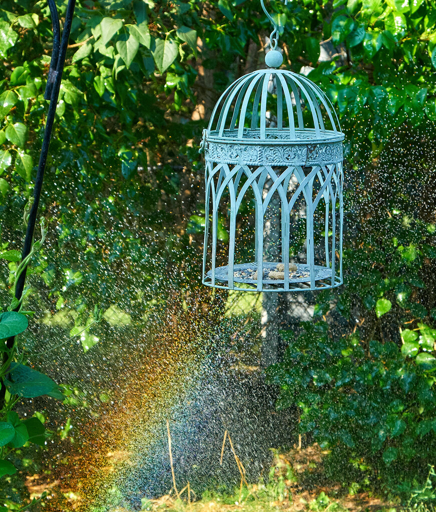 Sprinkler Rainbow by gardencat