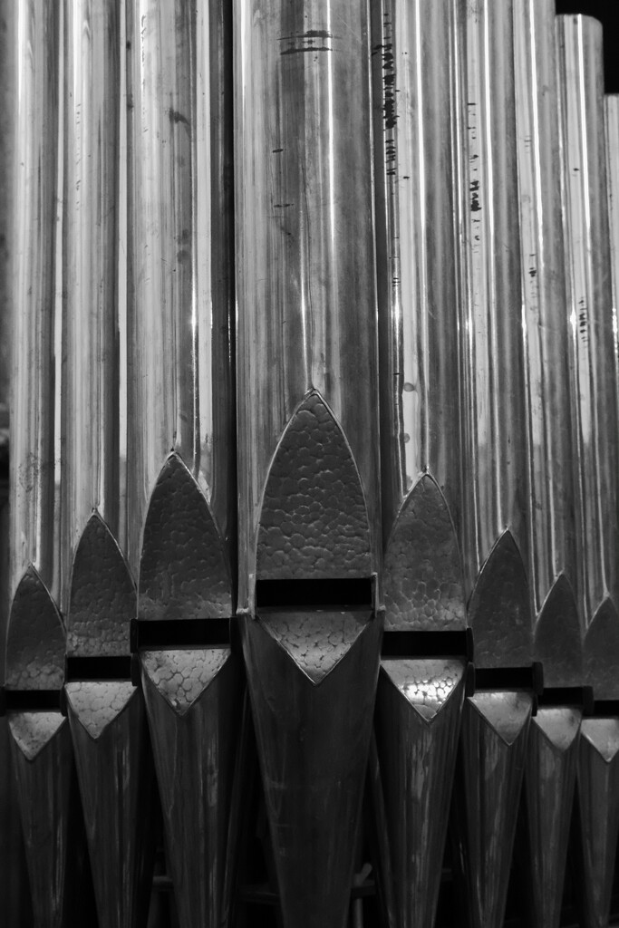 Organ Pipes... by vignouse
