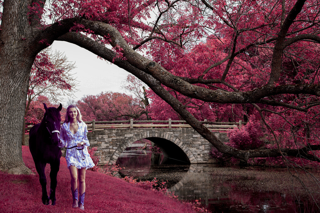 Get Pushed Challenge- false color infrared photography by myhrhelper
