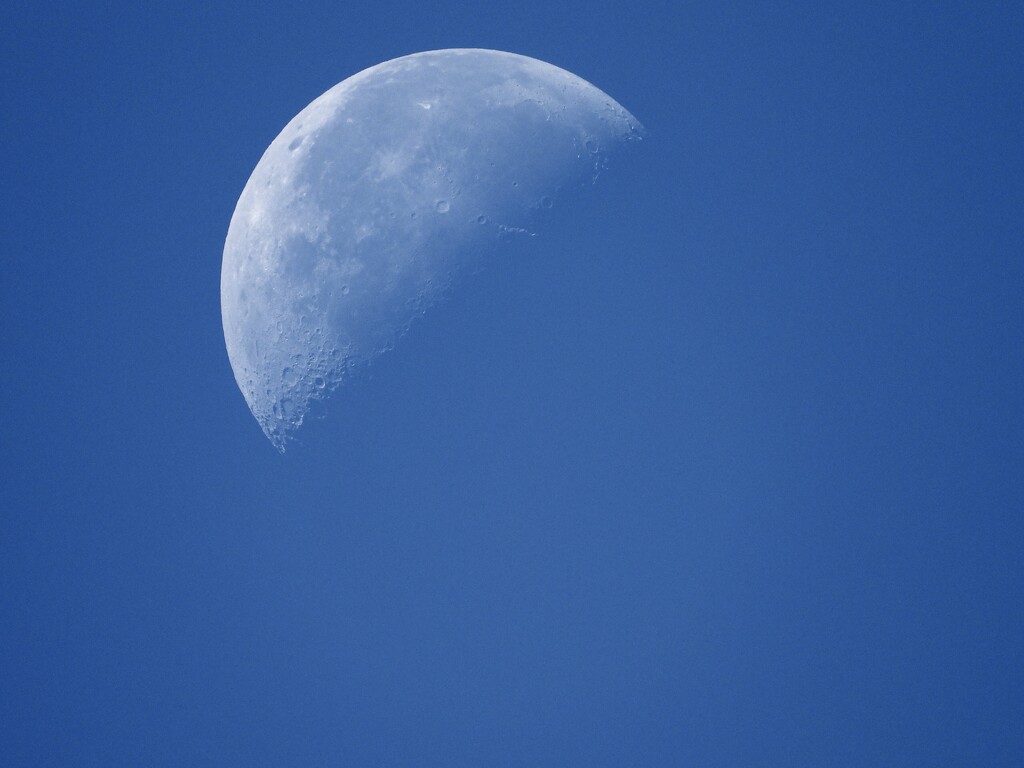 daytime moon by amyk
