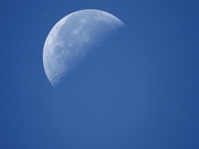 2nd Sep 2021 - daytime moon