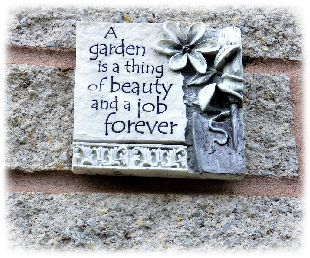 A little plaque in my garden by beryl