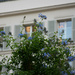 Hotel Bristol's private garden by parisouailleurs