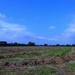 Late hay crop by julienne1