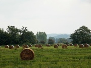 29th Aug 2021 - All baled up