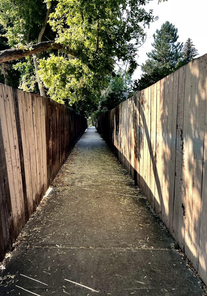 Pathway to school. by sandlily