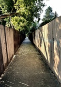 3rd Sep 2021 - Pathway to school.