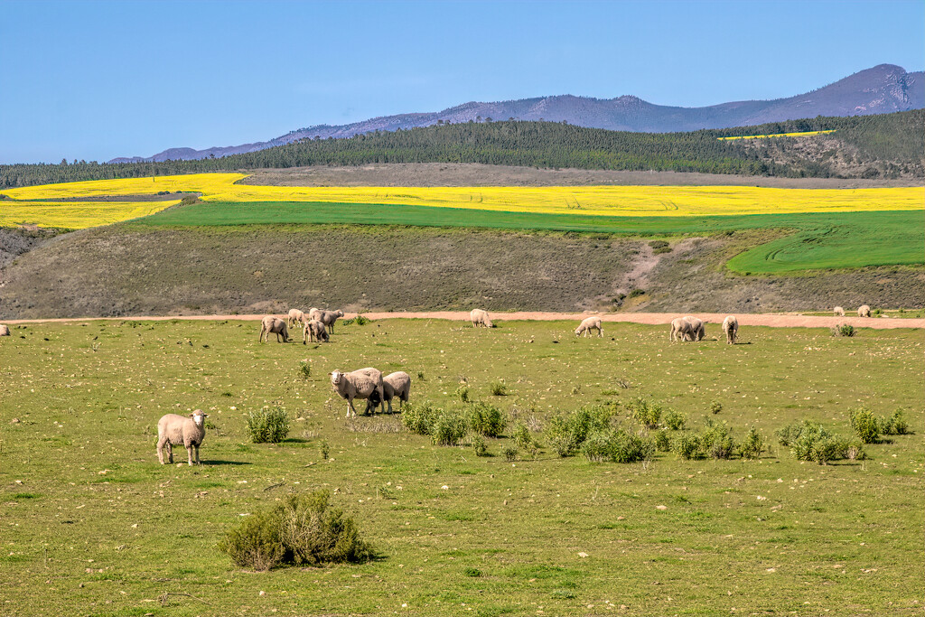 The Overberg by ludwigsdiana