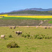 The Overberg by ludwigsdiana