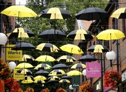 4th Sep 2021 - Umbrellas