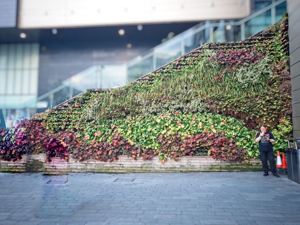Living Wall by billyboy