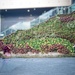 Living Wall by billyboy