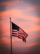 3rd Sep 2021 - USA Flag