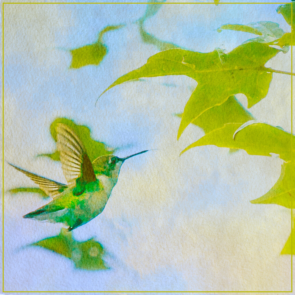 flying to the tree - a painterly take by jernst1779