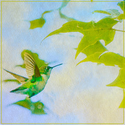 22nd Aug 2021 - flying to the tree - a painterly take