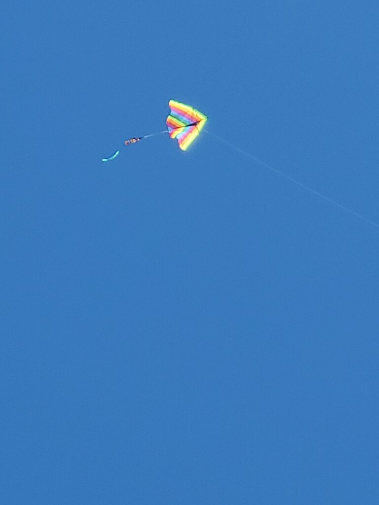 Go fly a kite by jb030958