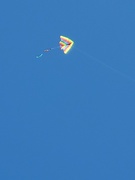 4th Sep 2021 - Go fly a kite