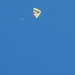 Go fly a kite by jb030958