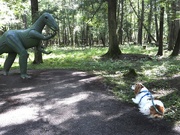 4th Sep 2021 - Marty and the dinosaur