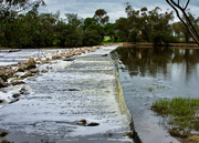 3rd Sep 2021 - Avon River, Northam DSC_8102