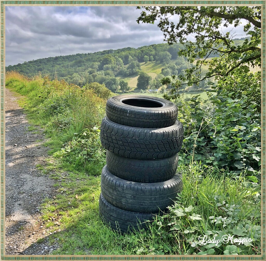 I'm "TYRED" of Fly Tipping. by ladymagpie