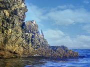 31st Jul 2021 - Cormorants on the Rocks 