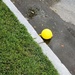 Return of the Runaway Yellow Balloon by meotzi