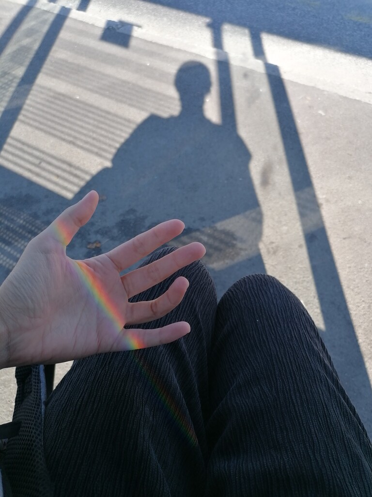 caught a rainbow~ by zardz