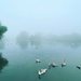 foggy morning down at the lake by cam365pix