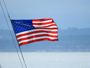 6th Sep 2021 - "Old Glory"