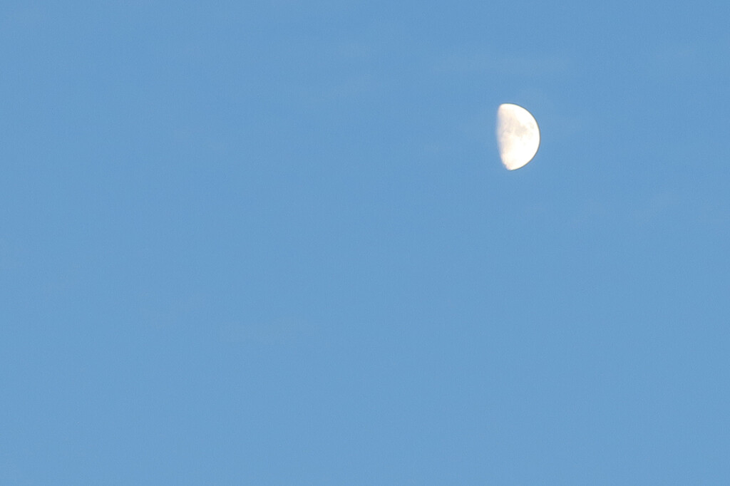 Half Moon in the Daylight by april16