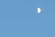 16th Aug 2021 - Half Moon in the Daylight