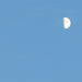Half Moon in the Daylight by april16