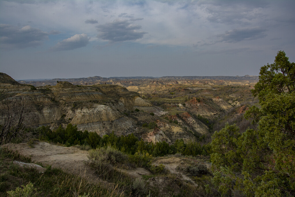 Theodore Roosevelt National Park by cwbill