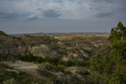 6th Sep 2021 - Theodore Roosevelt National Park