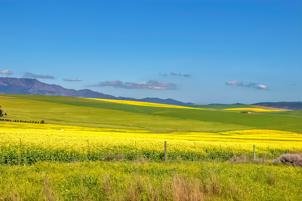 The Overberg  by ludwigsdiana
