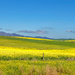 The Overberg  by ludwigsdiana
